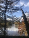 Trees reflect I the calm and tranquility of loch faskally Royalty Free Stock Photo