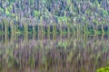 Trees reflected in Gwillim Lake in British Columbia, Canada