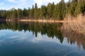 Trees reflected in Lake Britton in McArthur Burney Falls Memorial State Park, California, USA Royalty Free Stock Photo