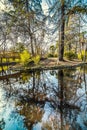 Trees reflected on the water in Buen Retiro park in Madrid