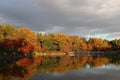 Trees are reflected in the water of a Japanese lake