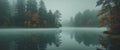trees are reflected in the water of a lake in the fog Royalty Free Stock Photo