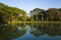 Trees reflecting in Kandawgyi Lake in Bogyoke Park Bogyoke Aung San Park in Yangon