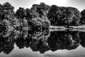 Trees Reflecting in a Lake at Lydiard Park, Wiltshire