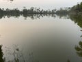 Trees reflecting in a lake