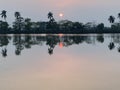 Trees reflecting in a lake during sunset