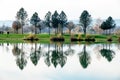 Trees reflecting in the lake