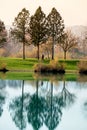 Trees reflecting in the lake