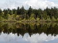 Trees reflecting in the lost lagoon at stanley park in vancouver