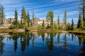 Trees reflecting in a pond near Blue Lake, Winthrop, WA Royalty Free Stock Photo