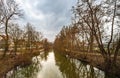 Trees reflecting on the river Vils in the oldtown Amberg on a cloudy day Royalty Free Stock Photo