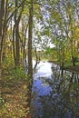 Trees reflecting in sand lake in the fall