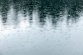 Trees reflecting in water pond with rain drops and ripples Royalty Free Stock Photo