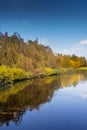 Trees reflecting in the water