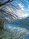 Trees Reflection at Bohinj Lake
