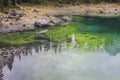 Trees reflection in Lake Carezza Royalty Free Stock Photo
