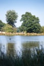 Trees reflection in a water Royalty Free Stock Photo