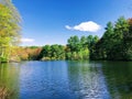 Trees reflections on the river surface Royalty Free Stock Photo