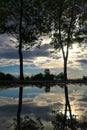 Trees reflections in the water at sunrise Royalty Free Stock Photo