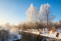 The trees with rime