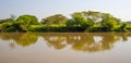 Trees and river