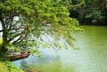 Trees by the river and boat