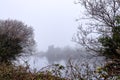 Trees by river Corrib in focus, remains of Menlo castle out of focus in a fog. Surreal atmosphere. Galway, Ireland