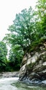 Trees on a rock above a mountain river