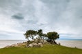 Trees and rocks near small bay of Sveti Blaz on a cloudy day in spring