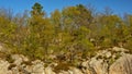 Trees and rocks in the Norwegian mountains