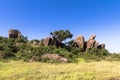 Trees on the rocks in Serengeti. Tanzania, Africa Royalty Free Stock Photo