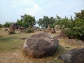 Trees and rocks texture Royalty Free Stock Photo