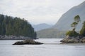 Trees and rocks at Tonquin Beach