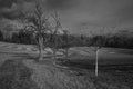 Trees and Rolling Meadows in the Mostviertel, Austria Royalty Free Stock Photo