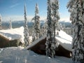 Trees and roofs caked with snow against a clear blue sky