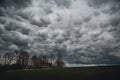 Trees with ruins of old house in front of dark mammatus clouds in the sky