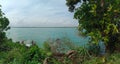 trees in the sea pesisir barat, Indonesia