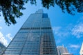 Trees and the Sears Tower