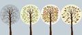 FFour trees in seasons-winter,spring,summer,autumn Royalty Free Stock Photo