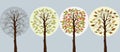 FFour trees in seasons-winter,spring,summer,autumn Royalty Free Stock Photo