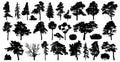 Trees set isolated on white background. Coniferous forest silhouette Royalty Free Stock Photo