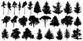 Trees set isolated on white background. Forest background, nature, landscape. Evergreen coniferous trees. Pine, spruce, Christmas Royalty Free Stock Photo