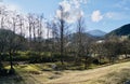 Trees with shadow Mountains Winter landscape at Nikko Japan