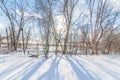 Trees and shadow of trees on snow on a beautiful sunny winter`s day with blue skies and puffy white clouds - in the Minnesota Val Royalty Free Stock Photo