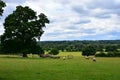 Constable Country Landscape, Dedham Vale, Suffolk, UK Royalty Free Stock Photo