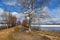 Trees on the shore of a frozen lake on a sunny spring day Royalty Free Stock Photo