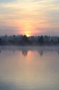 Trees on shore of lake at dawn in fog