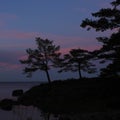 Trees at the shore of Lake Vanern just after sunset Royalty Free Stock Photo