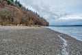 Trees And Shoreline 2