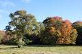 Trees showing Autumn tints, Cumbria sunny day Royalty Free Stock Photo